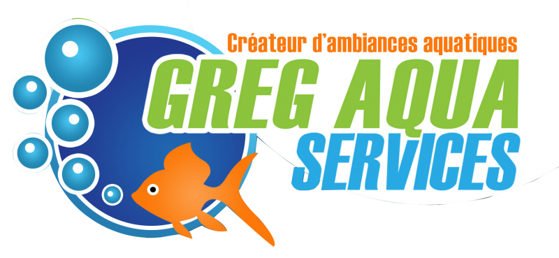 devis pour la création d'un bassin extérieur en cascade Greg Aqua Services Cussac Fort Médoc en Gironde 33